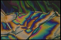 Dateiname=Citric_acid_Zitronensaeure24.jpg
Dateigröße=429KB
Abmessungen: 1600x1067
hinzugefügt am: 26. Januar 2020 Citric_acid_Zitronensaeure24.jpg