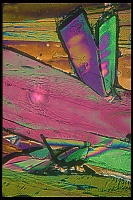Dateiname=Citric_acid_Zitronensaeure42.jpg
Dateigröße=632KB
Abmessungen: 1067x1600
hinzugefügt am: 26. Januar 2020 Citric_acid_Zitronensaeure42.jpg