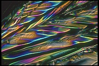 Dateiname=Citric_acid_Zitronensaeure43.jpg
Dateigröße=445KB
Abmessungen: 1600x1067
hinzugefügt am: 26. Januar 2020 Citric_acid_Zitronensaeure43.jpg