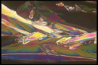Dateiname=Citric_acid_Zitronensaeure49.jpg
Dateigröße=513KB
Abmessungen: 1600x1067
hinzugefügt am: 26. Januar 2020 Citric_acid_Zitronensaeure49.jpg