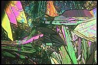 Dateiname=Citric_acid_Zitronensaeure60.jpg
Dateigröße=851KB
Abmessungen: 1600x1067
hinzugefügt am: 26. Januar 2020 Citric_acid_Zitronensaeure60.jpg