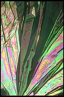 Dateiname=Citric_acid_Zitronensaeure61.jpg
Dateigröße=742KB
Abmessungen: 1067x1600
hinzugefügt am: 26. Januar 2020 Citric_acid_Zitronensaeure61.jpg