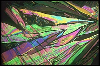 Dateiname=Citric_acid_Zitronensaeure62.jpg
Dateigröße=735KB
Abmessungen: 1600x1067
hinzugefügt am: 26. Januar 2020 Citric_acid_Zitronensaeure62.jpg