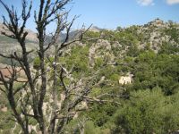 Dateiname=mallorca041.jpg
Dateigröße=537KB
Abmessungen: 1240x930
hinzugefügt am: 26. Januar 2020 mallorca041.jpg
