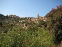 Dateiname=mallorca049.jpg
Dateigröße=438KB
Abmessungen: 1240x930
hinzugefügt am: 26. Januar 2020 mallorca049.jpg