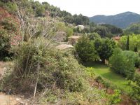 Dateiname=mallorca052.jpg
Dateigröße=583KB
Abmessungen: 1240x930
hinzugefügt am: 26. Januar 2020 mallorca052.jpg