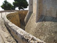 Dateiname=mallorca091.jpg
Dateigröße=448KB
Abmessungen: 1240x930
hinzugefügt am: 26. Januar 2020 mallorca091.jpg