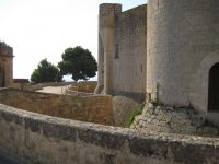 Dateiname=mallorca092.jpg
Dateigröße=334KB
Abmessungen: 1240x930
hinzugefügt am: 26. Januar 2020 mallorca092.jpg