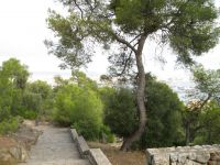 Dateiname=mallorca127.jpg
Dateigröße=477KB
Abmessungen: 1240x930
hinzugefügt am: 26. Januar 2020 mallorca127.jpg