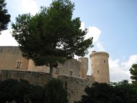 Dateiname=mallorca130.jpg
Dateigröße=234KB
Abmessungen: 1240x930
hinzugefügt am: 26. Januar 2020 mallorca130.jpg